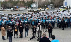 Turkish tourist guides protested the new draft