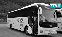 ANEX Group: Neşe Koçkar released, no link to probe