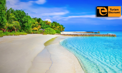 Vietnam’a giden Rus turist sayısı 2,7 kat arttı