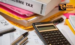 Türkiye bilgileri paylaştı, gurbetçilere ceza yağdı