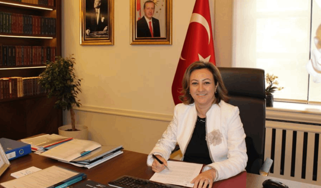Özgül Özkan Yavuz THY yönetiminde
