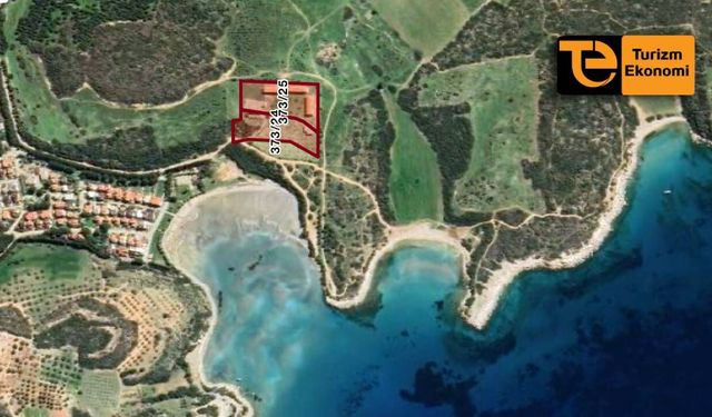 Didim’de 14,6 dönümlük Hazine arazisi ihaleye çıkarıldı