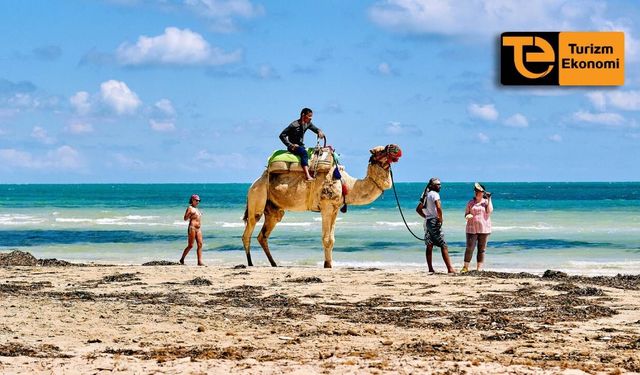 Fas’ın hem turist sayısı hem turizm geliri arttı