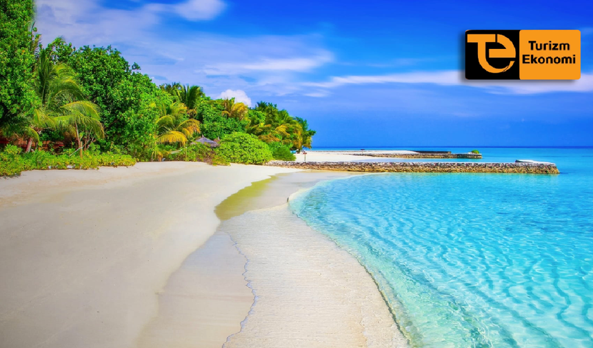 Vietnam’a giden Rus turist sayısı 2,7 kat arttı